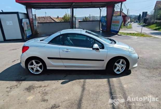 IMG_1242