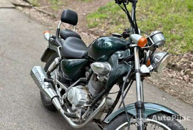 Chopper rex 125
