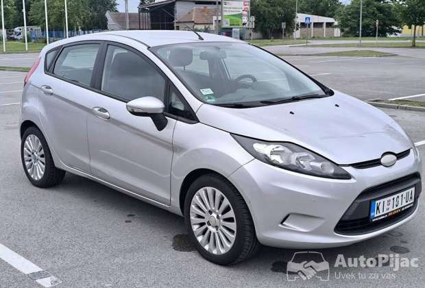 Ford Fiesta 2009.g
