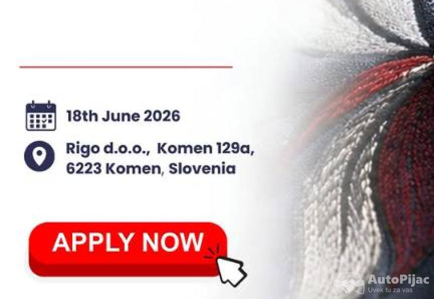 audi_a8_30_uvoz_nemacka_perfektno_stanje_11_polovni_automobili_autopijac.rs