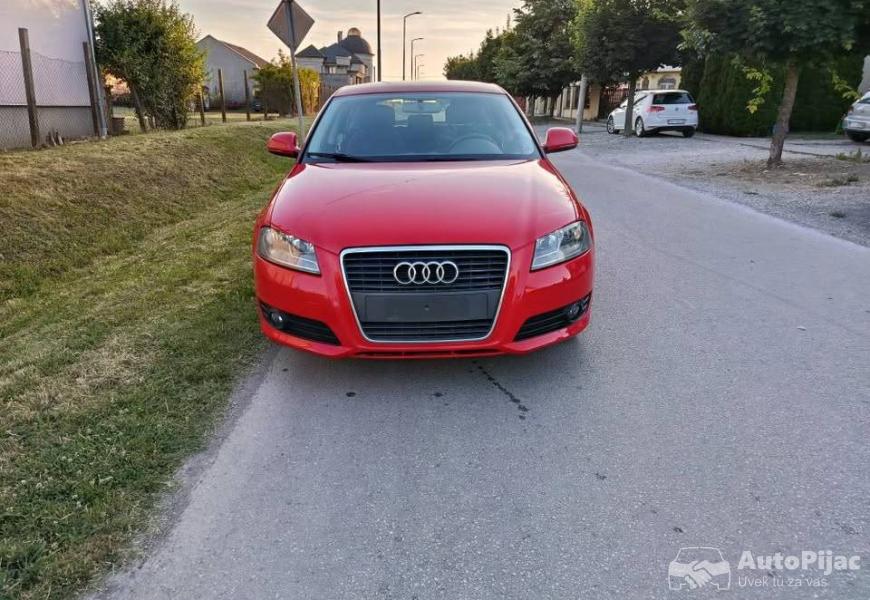 a_319tdi2008g_3_polovni_automobili_autopijac.rs